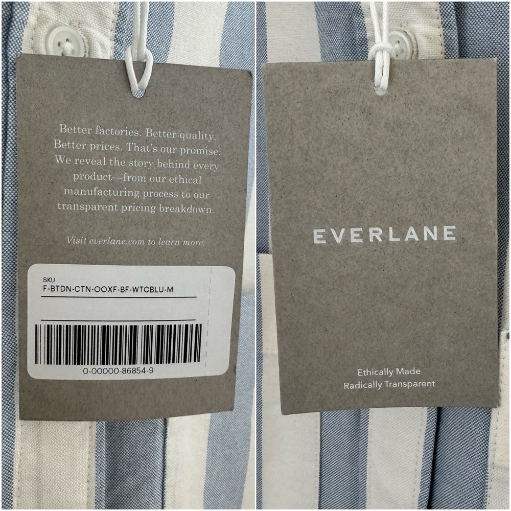 NWT Everlane Organic Cotton The Boxy Oxford Button Down Striped Oversized Shirt - Picture 15 of 16